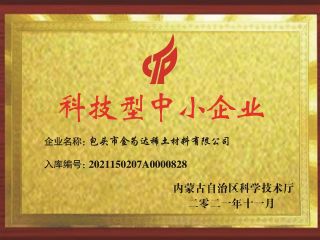 Scientific and technological small and medium-sized enterprises